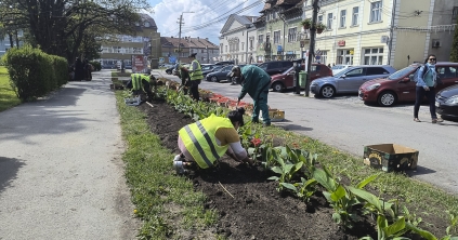Szépül a főtéri park Gyergyó­szent­miklóson